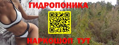 каннабис Уссурийск