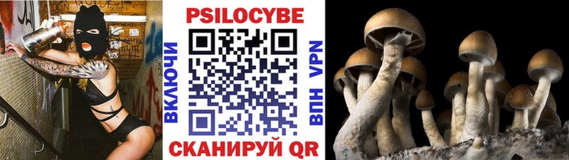 Галлюциногенные грибы MAGIC MUSHROOMS Альметьевск