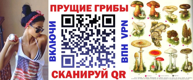 Псилоцибиновые грибы Cubensis  Альметьевск 