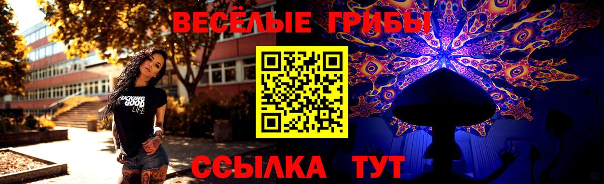 Галлюциногенные грибы Psilocybine cubensis Альметьевск
