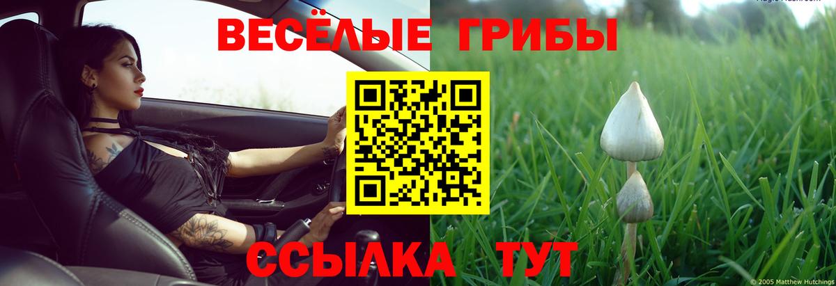 Псилоцибиновые грибы Cubensis  Псилоцибиновые грибы Psilocybe  Вход с VPN  Альметьевск 